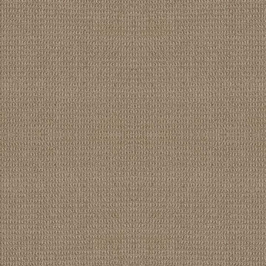 PARK ESTATES in Butterscotch Carpet