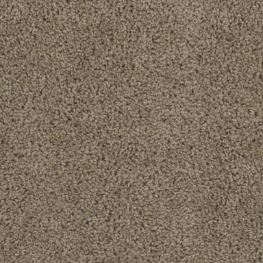 Tracker in  honey Beige Carpet
