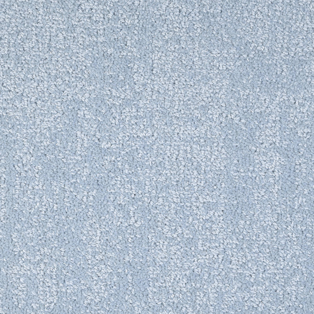 Noble in Clear Blue Carpet