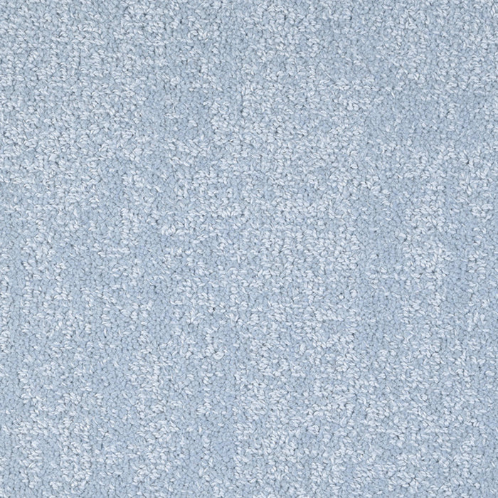 Noble in Clear Blue Carpet