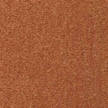 Saddle Brown