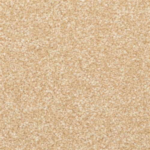 Lavato  in Camelite Carpet