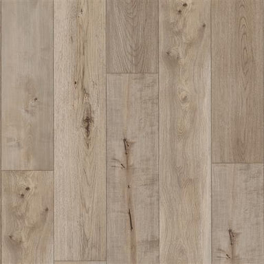 Restoration Collection - Anthology in Parchment Laminate