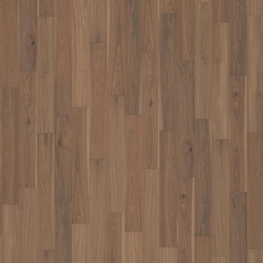 Restoration Collection - Revival in Terra