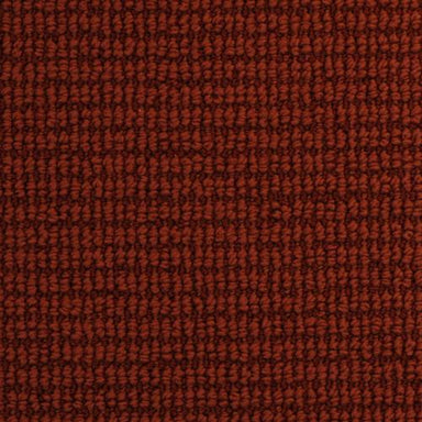 Night & Day  in Berry Fizz Carpet