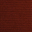 Night & Day  in Berry Fizz Carpet