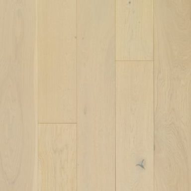 Coral Shores in Tidal Oak