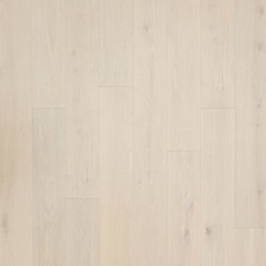 Sebastian Isle in Ventura Oak