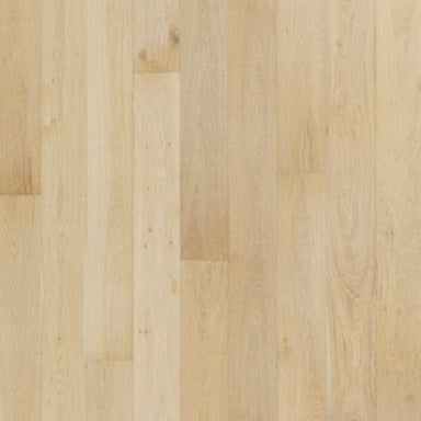 Islandair in Conch Oak