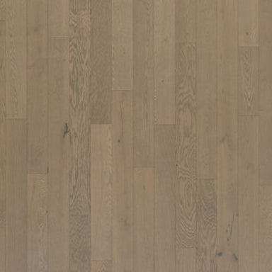 Camden Isle in Park Avenue