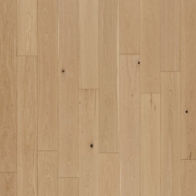 Collington in Champagne Oak