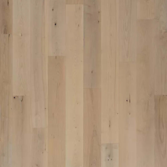 Bellacree in Smokey Taupe Maple