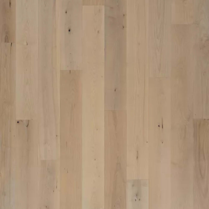 Bellacree in Smokey Taupe Maple Hardwood