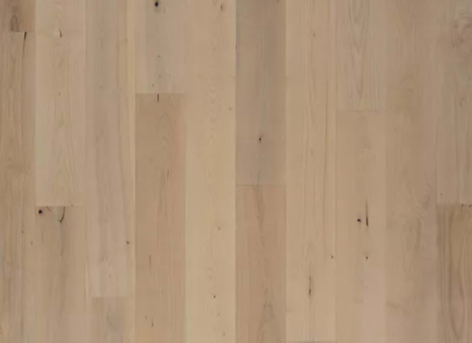 Bellacree in Smokey Taupe Maple
