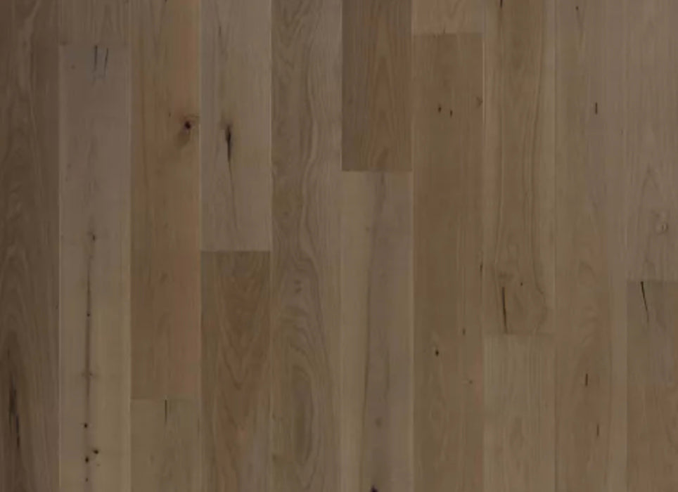 Bellacree in French Gray Maple