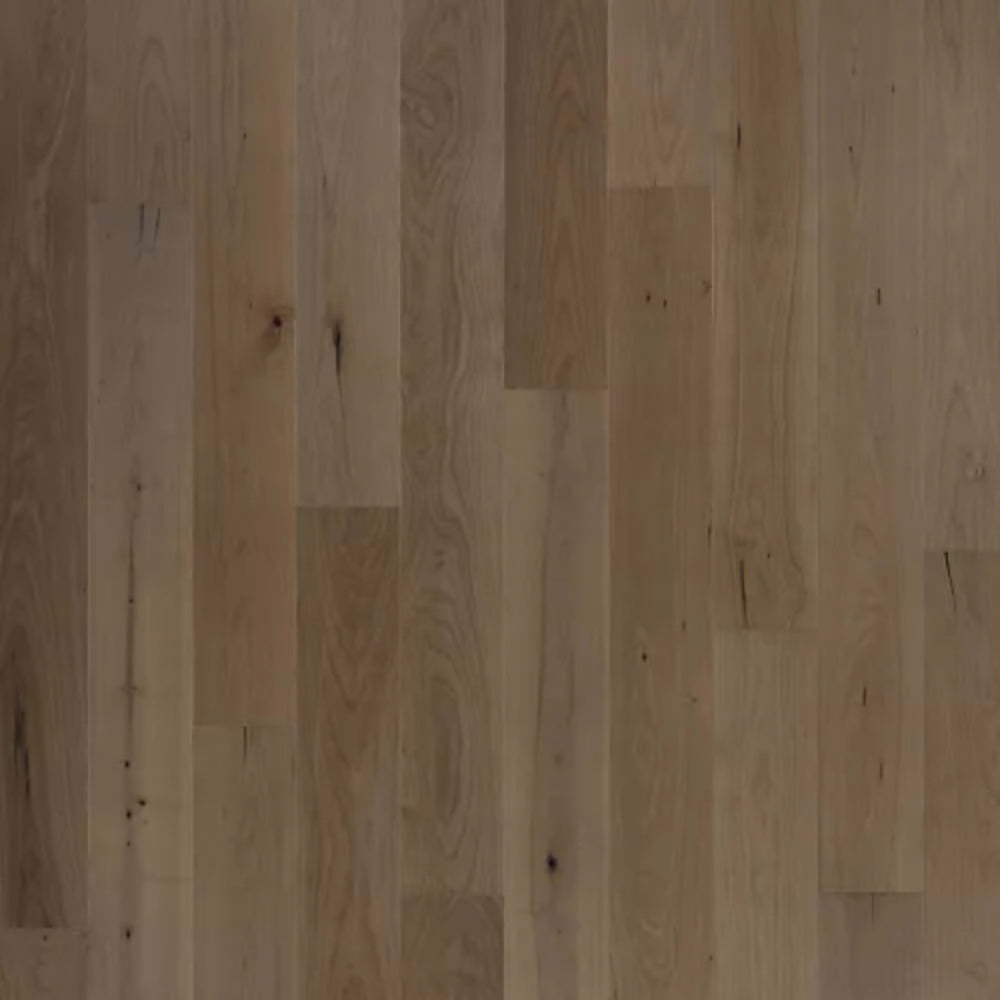 Bellacree in French Gray Maple Hardwood