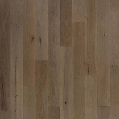 Bellacree in French Gray Maple Hardwood