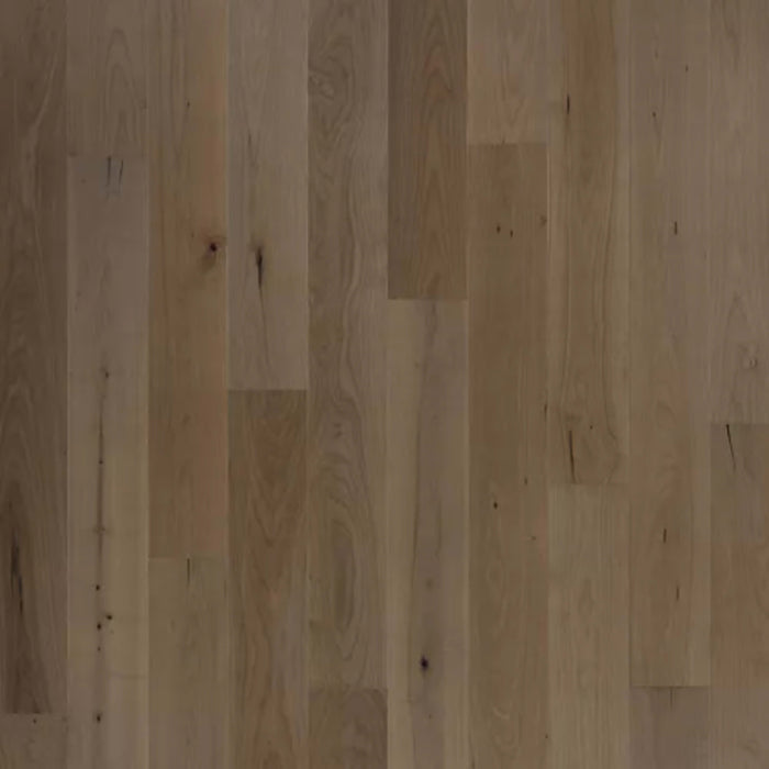 Bellacree in French Gray Maple Hardwood