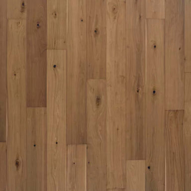 Bellacree in Warm Creme Walnut Hardwood