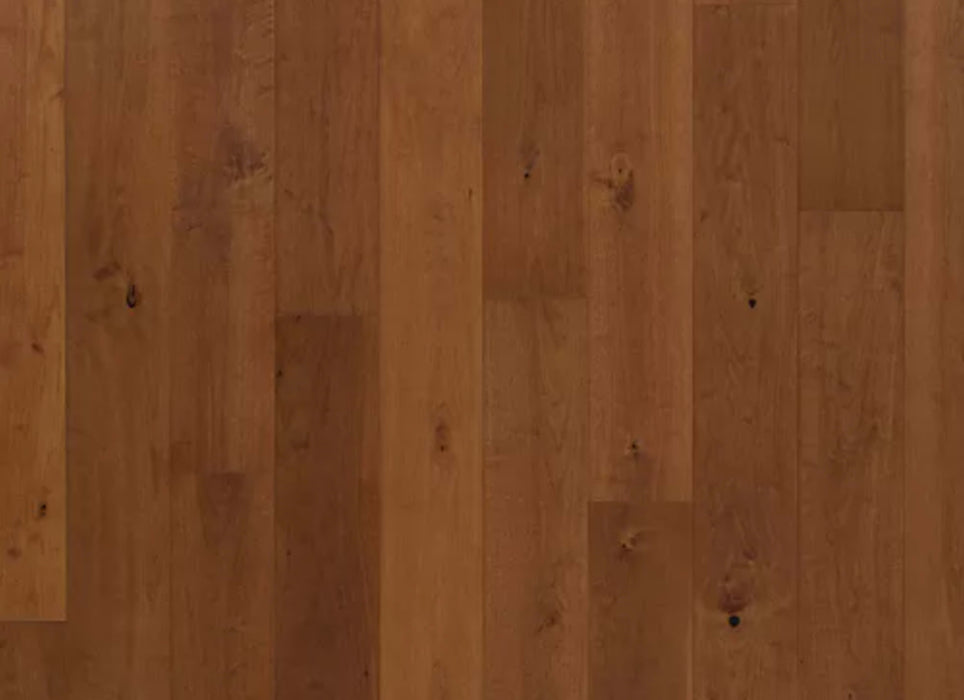 Bellacree in Cognac Walnut