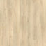 Palm City in Golden Sand Oak