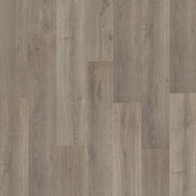 Palm City in Balboa Oak