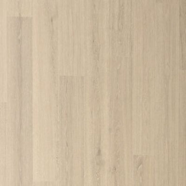 Andilet in Morning Fog Oak
