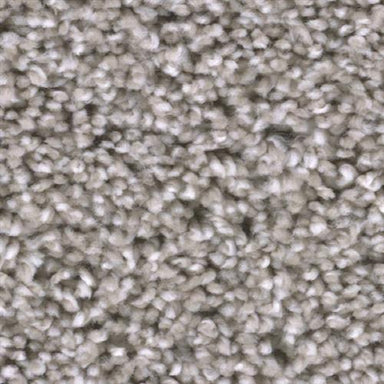 TRENDSETTER II in Acadia Carpet