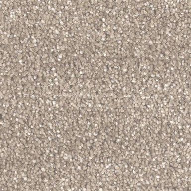 Star Struck in Acorn Carpet