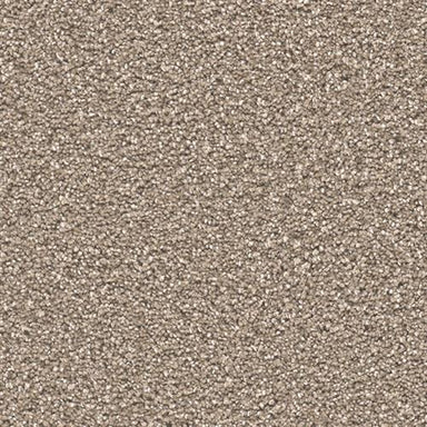 STUNNING in Acorn Carpet