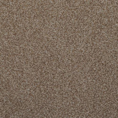 Toulon  in Briarwood Carpet