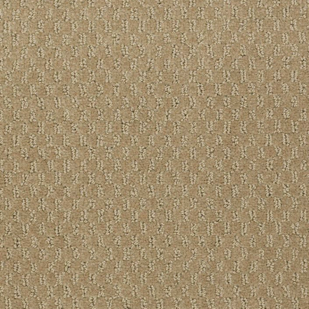 Latest Trend in Alpaca Carpet