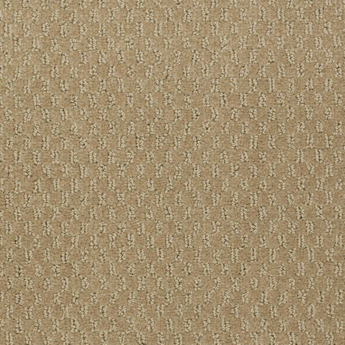 Latest Trend in Alpaca Carpet