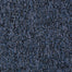 Sound Advice BL in Advocate Carpet