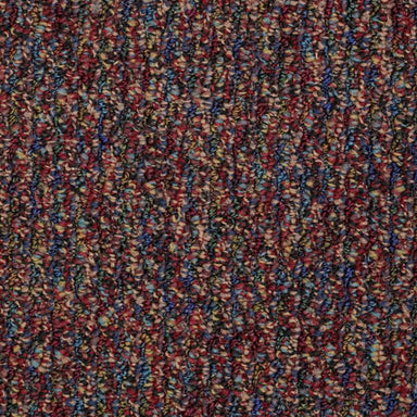 Speak Out in Admit Carpet
