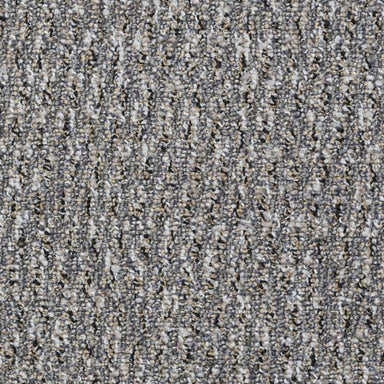 Speak Freely in Address Carpet