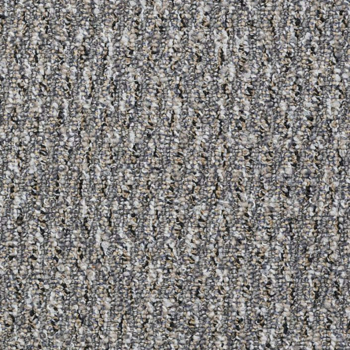 Speak Freely in Address Carpet