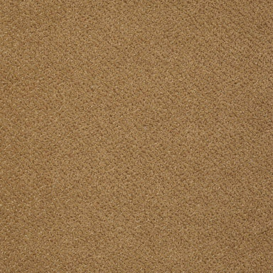Primus in A List Carpet