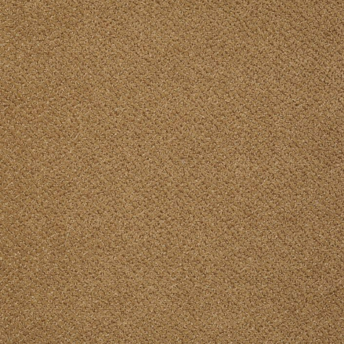 Primus in A List Carpet