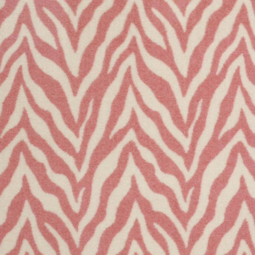 Zesty Zebra