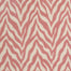 Zesty Zebra