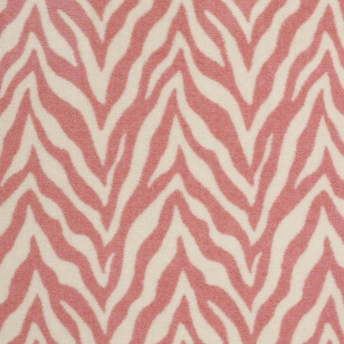 Zesty Zebra