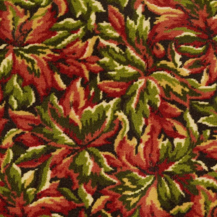 New Bay in Fruitwood Carpet