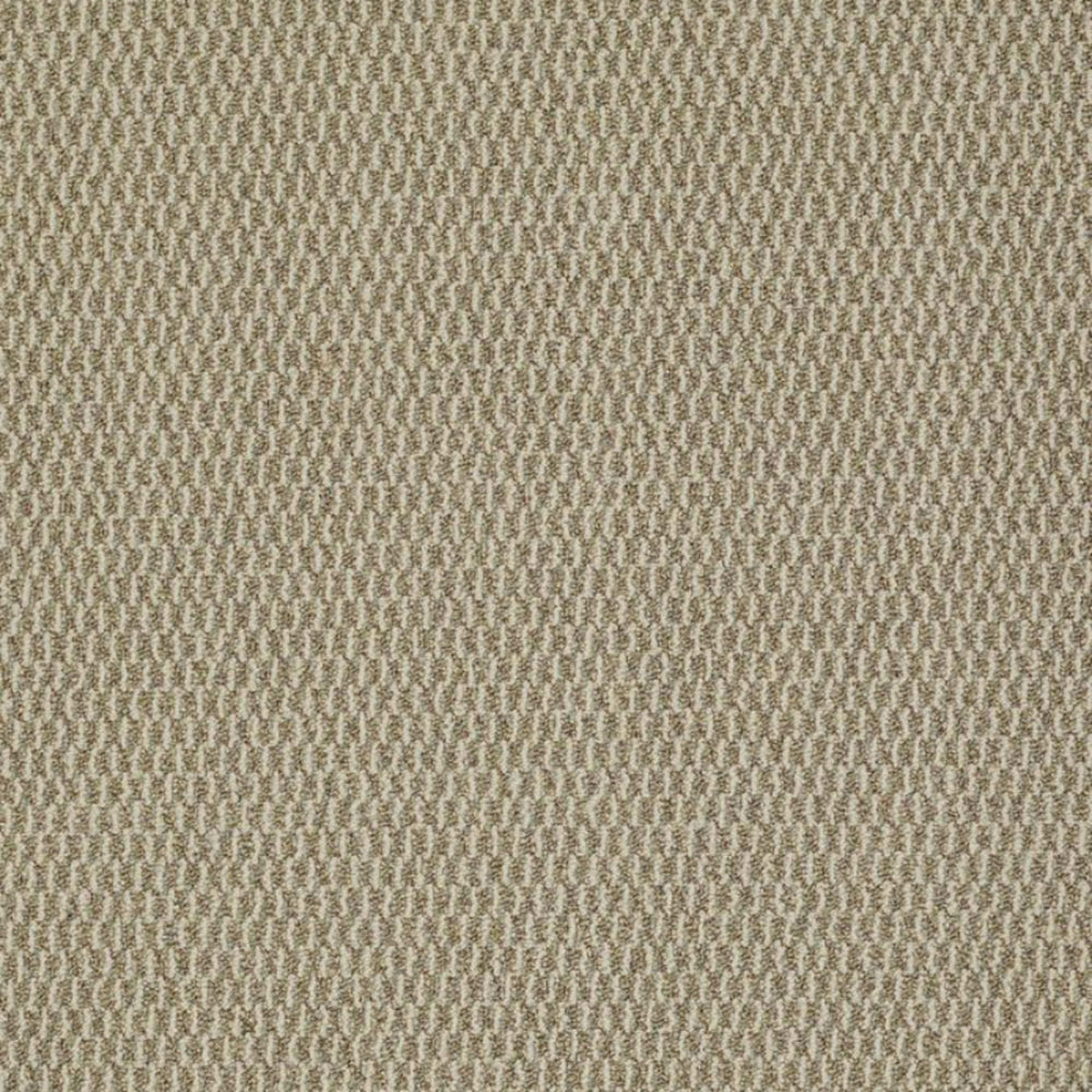 Remix in Amend Carpet