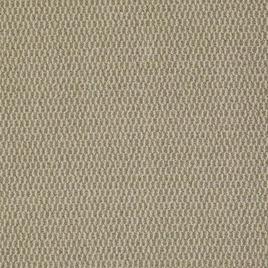 Remix in Amend Carpet