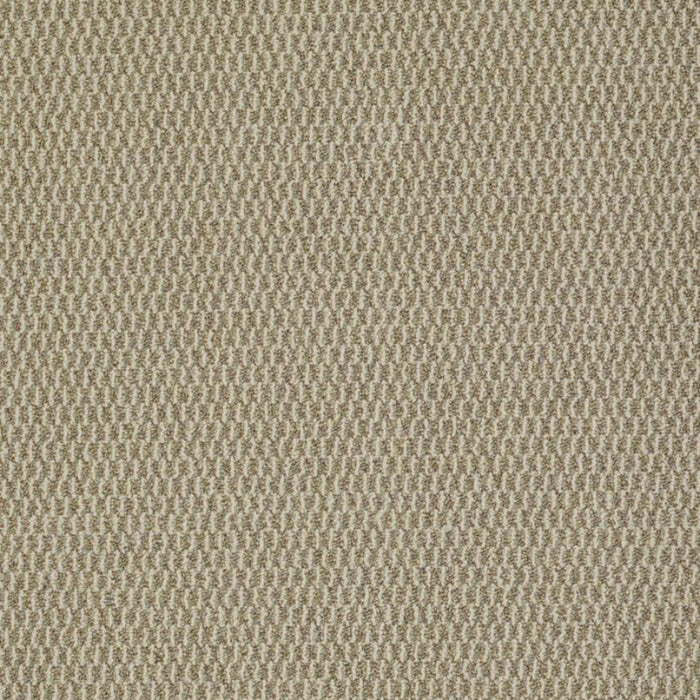 Remix in Amend Carpet