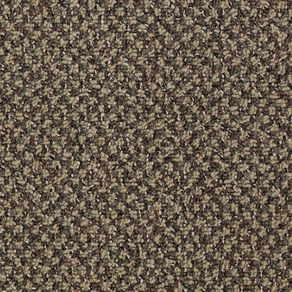 New Basics in Hot Order Carpet