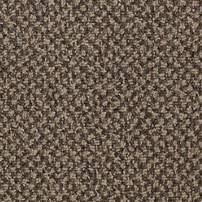 New Basics in Hot Order Carpet