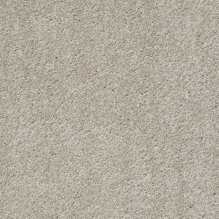Side Track in All Natural Carpet
