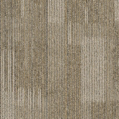 Pure Attitude in Astute Carpet Tile